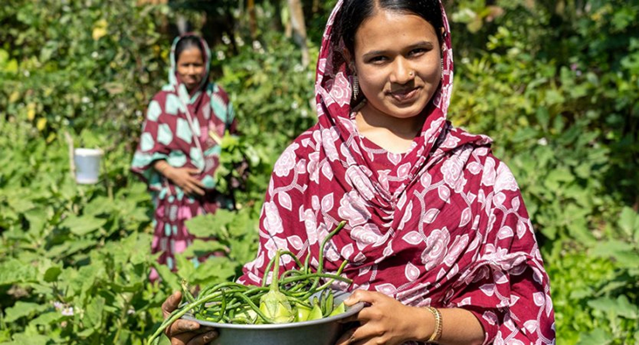 Counting planetary pressures for sustainable human development