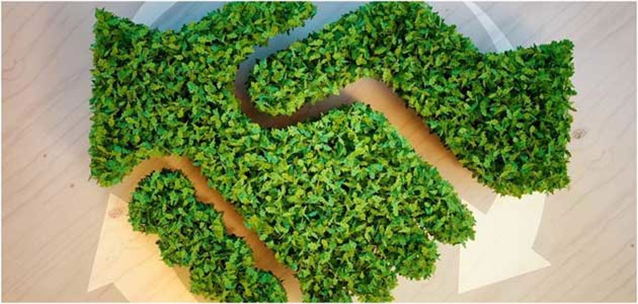 Bangladesh’s climate diplomacy needs to take a whole-of-society approach