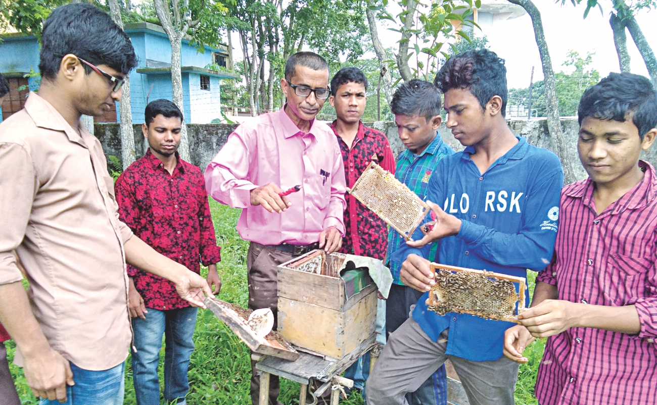 Beekeeping: A skill for life