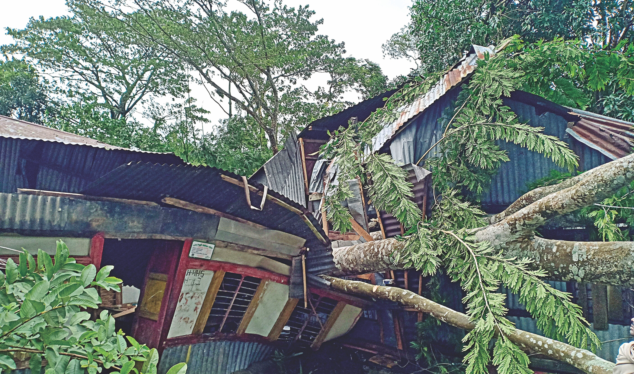 26 die as Bulbul batters coasts