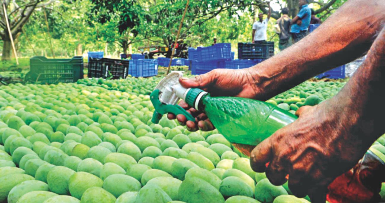 A recipe for a public health disaster