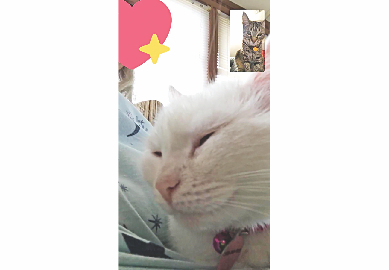 Maintaining long distance friendships