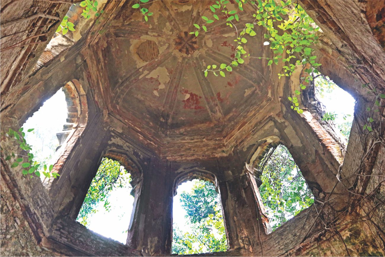 A TRIBUTE TO COLUMBO SAHIB