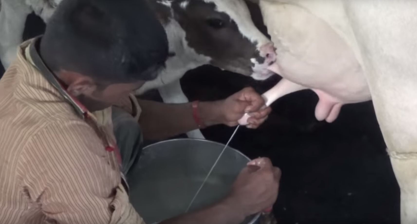 HC worried over milk adulteration