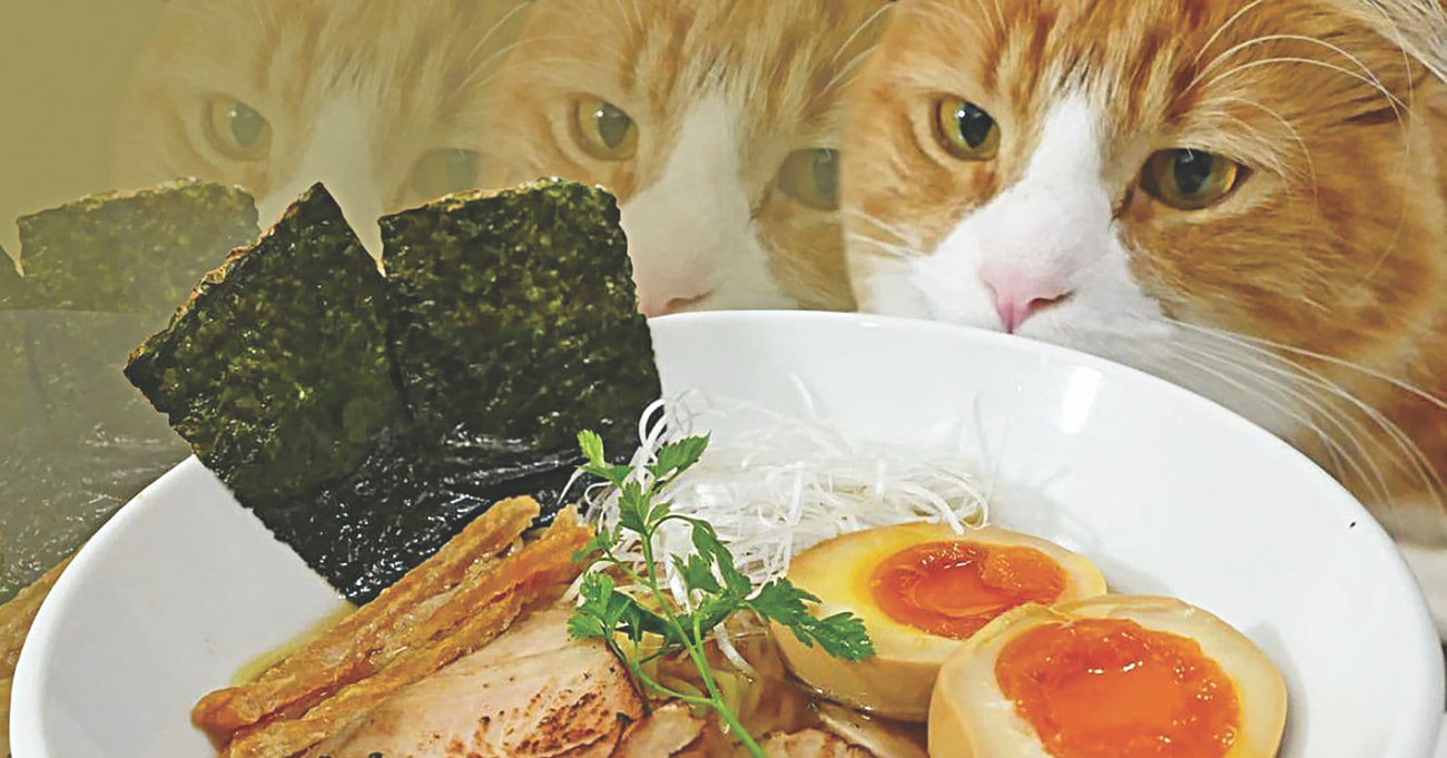 YouTube Food Channels with a Twist