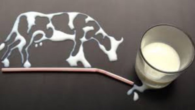 Packaged Milk of 14 Brands: No production, sale for 5 weeks