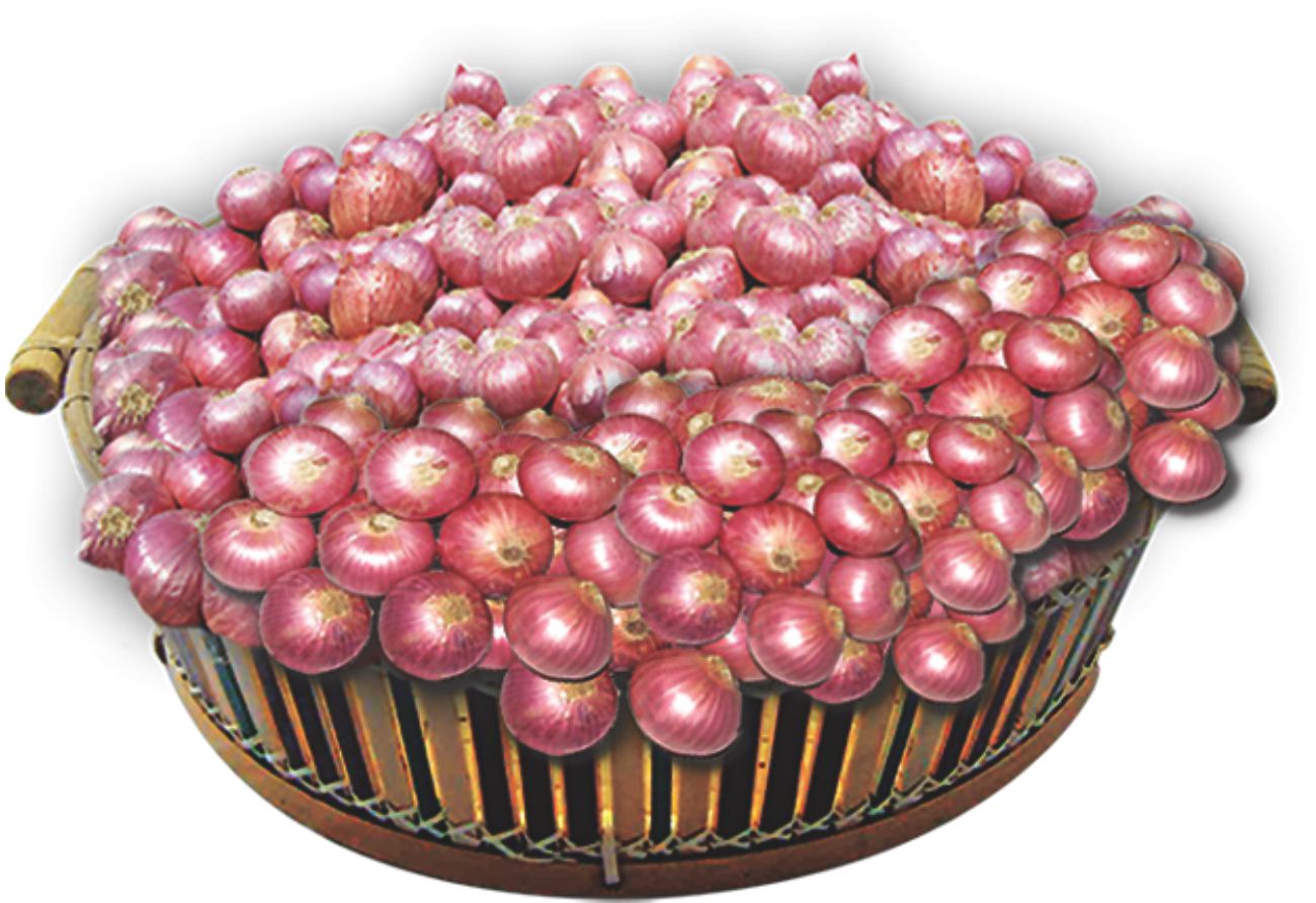 Onion prices soaring