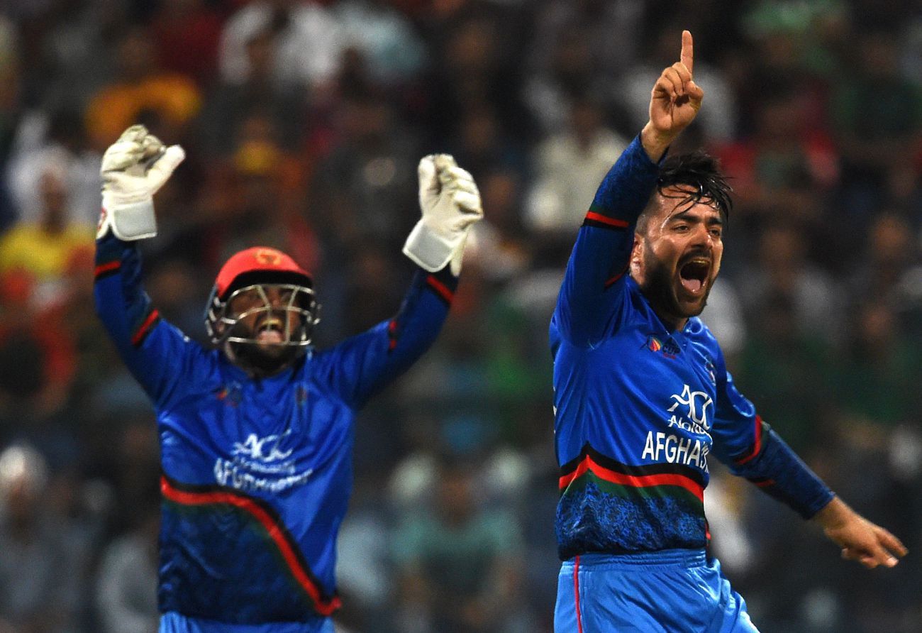Rashid ravages Tigers