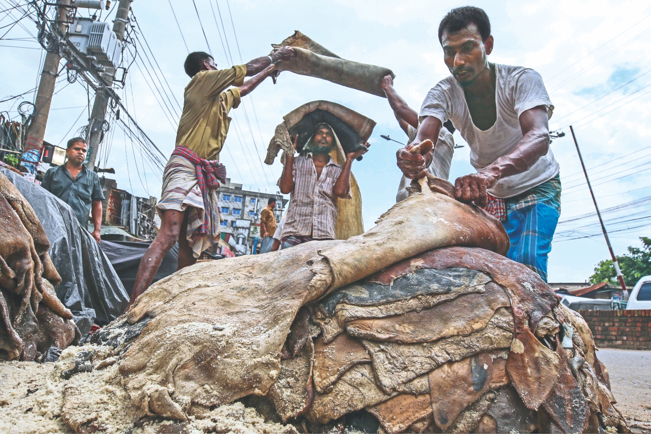 Rawhide trade into a tailspin