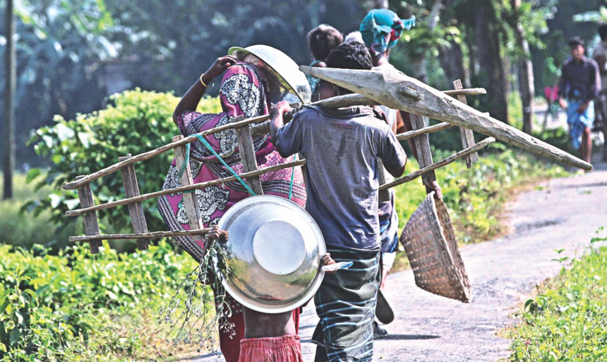 Why are social safety net programmes so crucial?