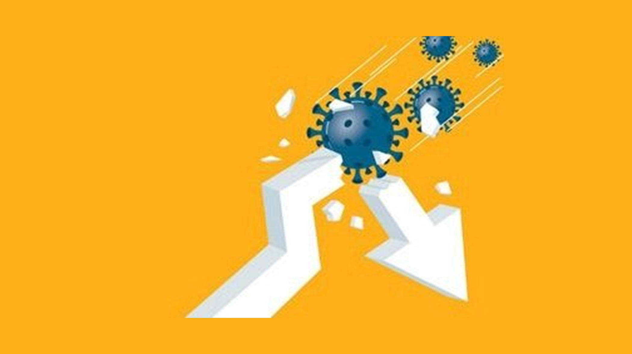 Covid-19 and the economic challenges for South Asian countries