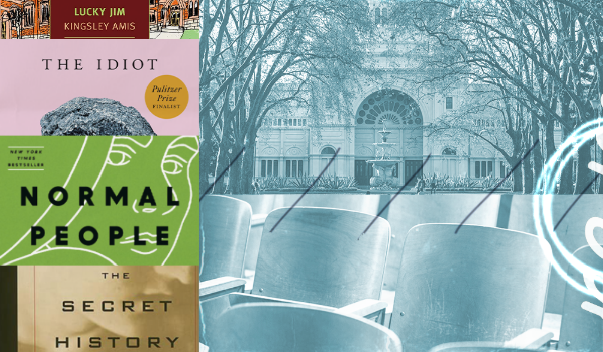 The allure of the campus novel