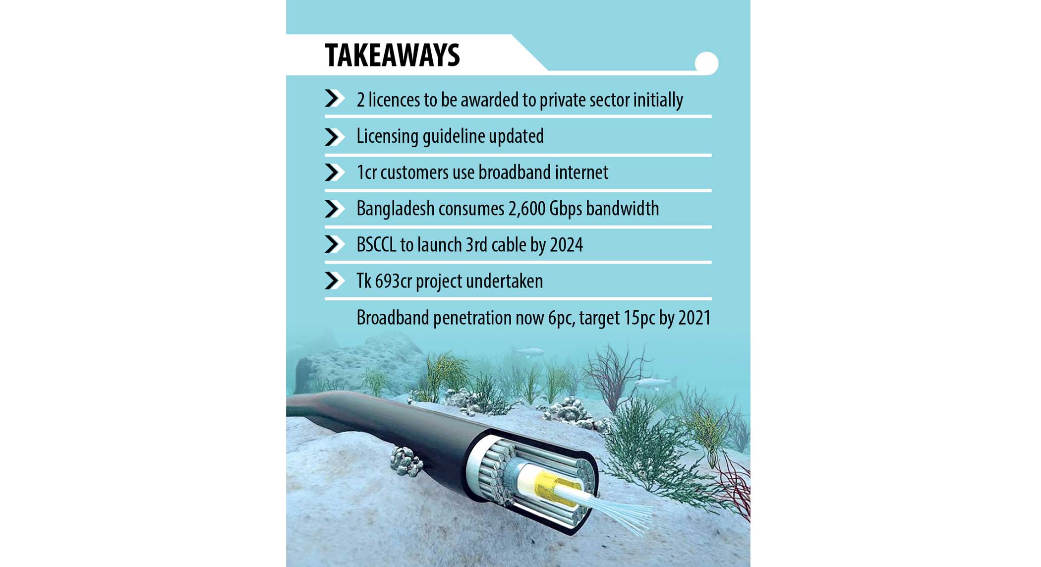 Private firms to get undersea cable licences