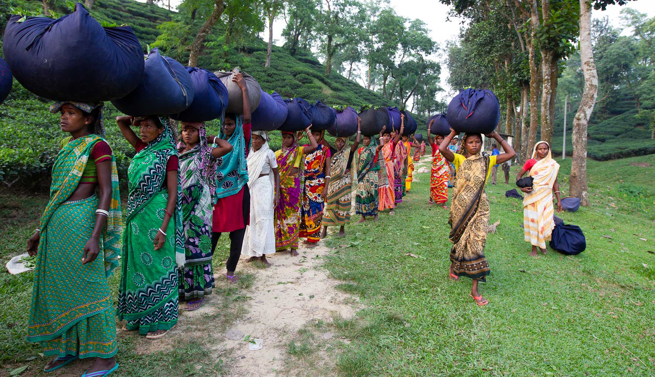 Will the tea workers get the wages they deserve?