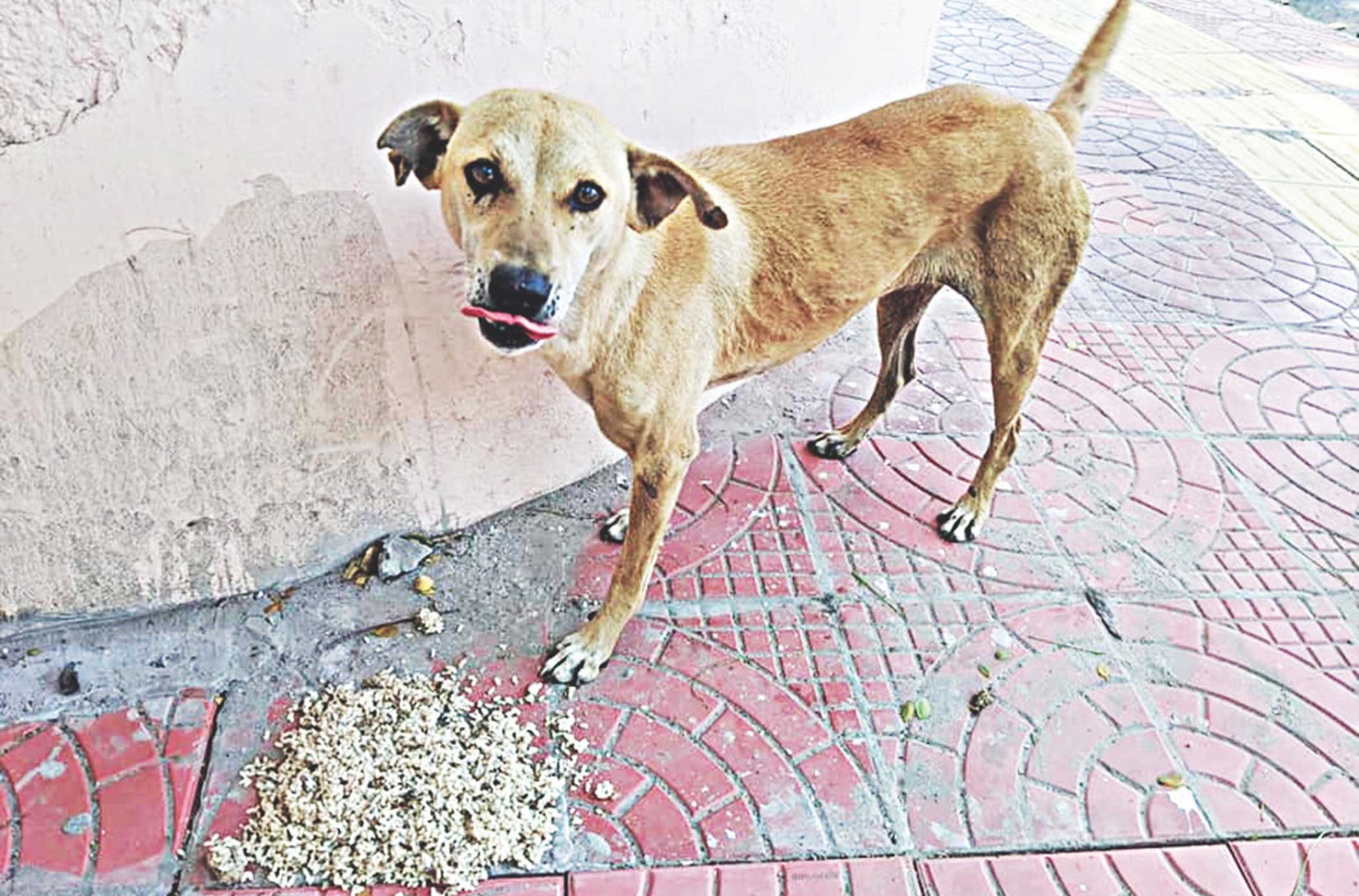 Only radical kindness can drive true reform