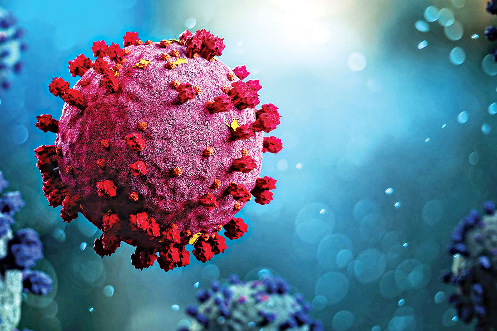 Two die from Covid in 24hrs