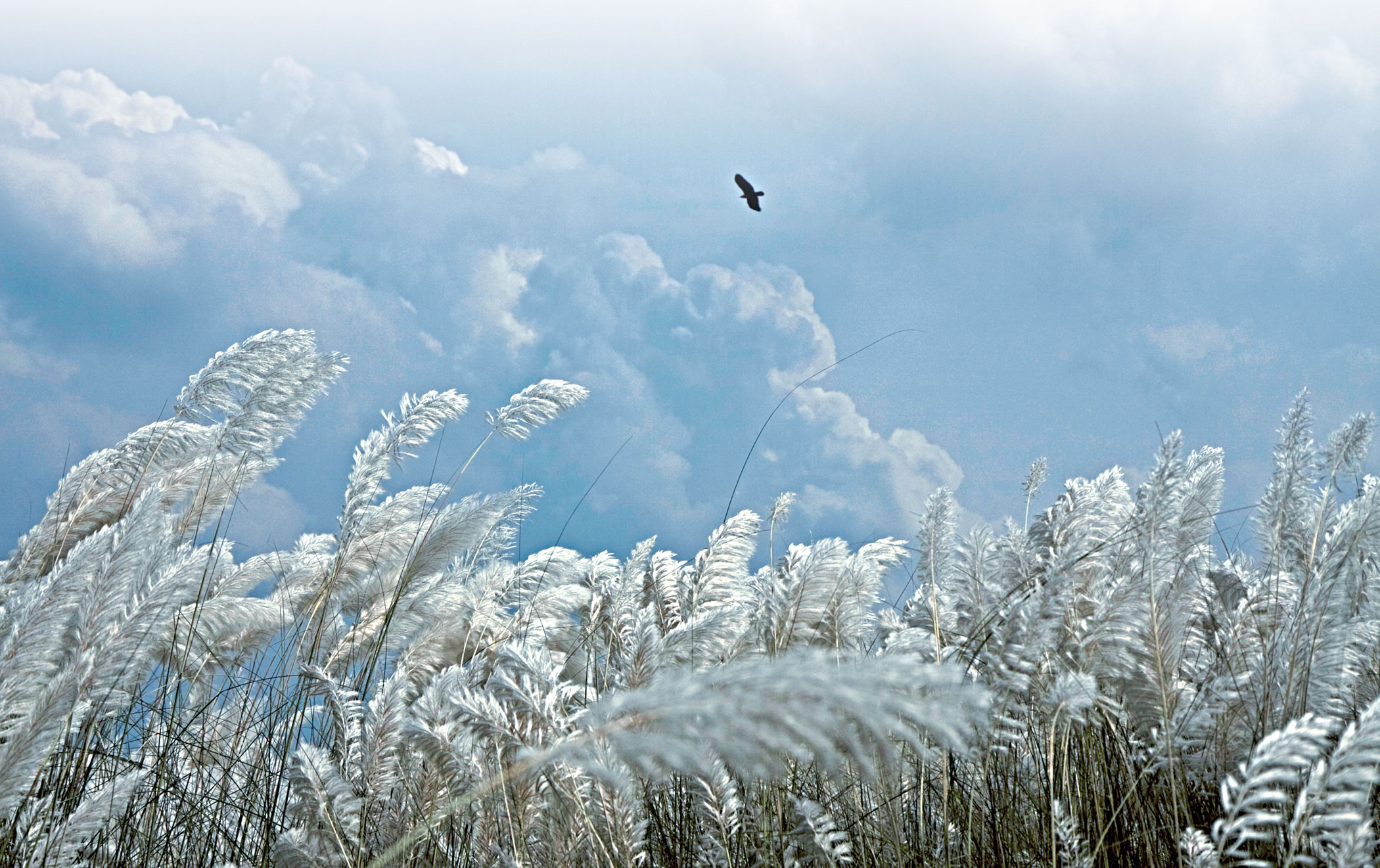 The Bangladeshi kaleidoscope: What do certain colours mean to us?