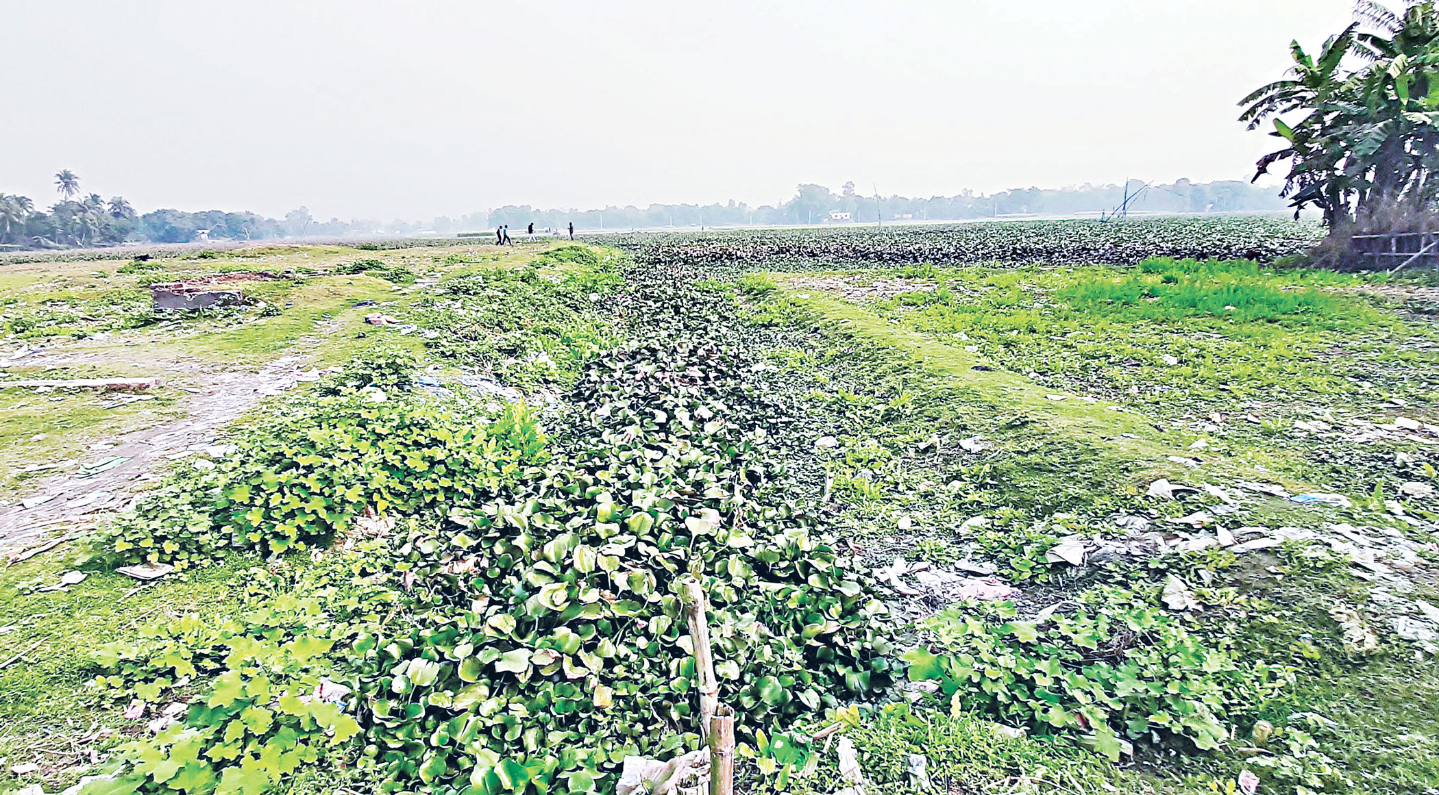 The saga of river killing continues