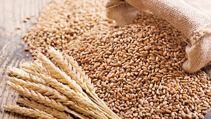 India’s ban on wheat export is disconcerting