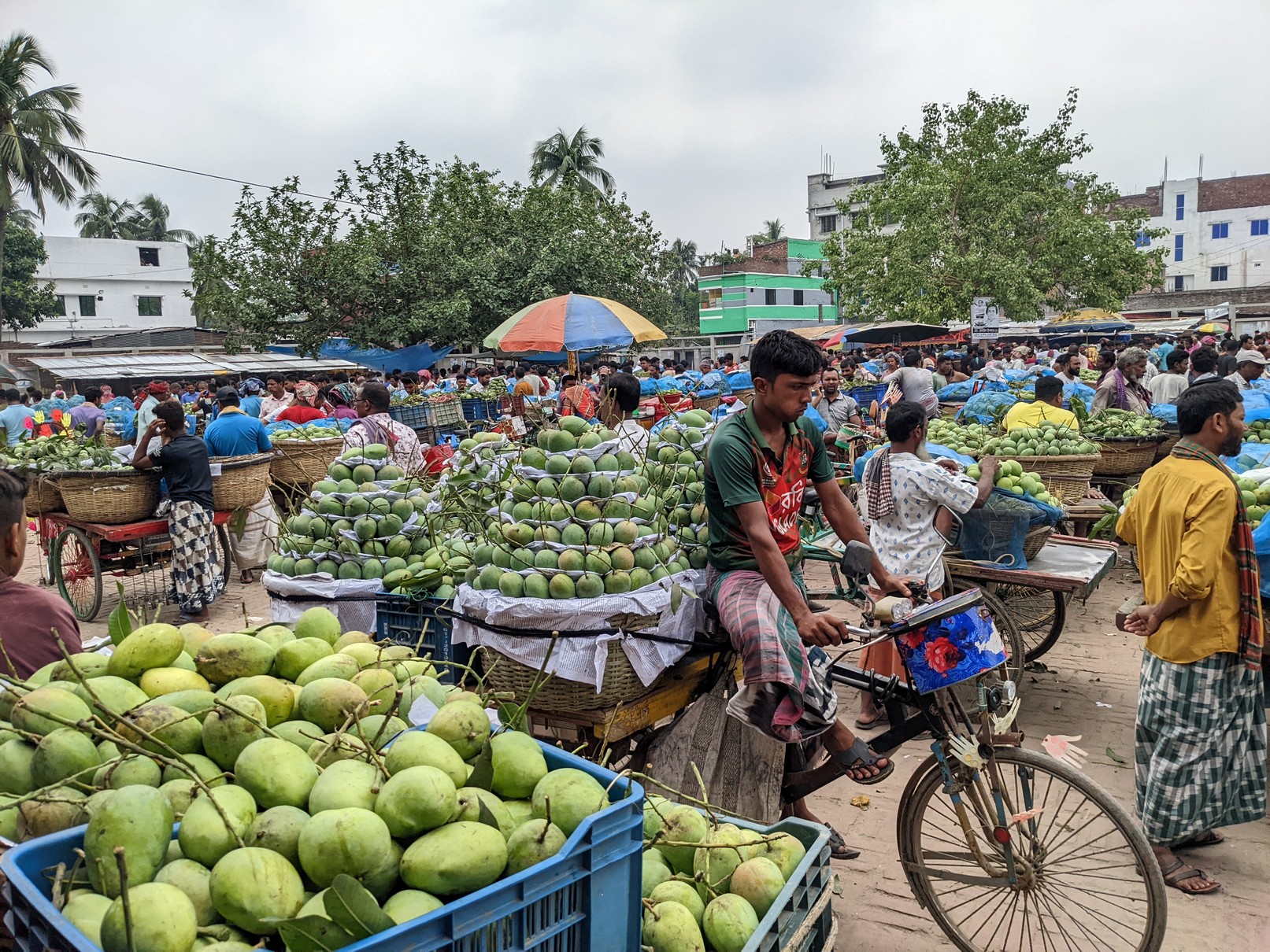 Finding quality mangoes in Dhaka