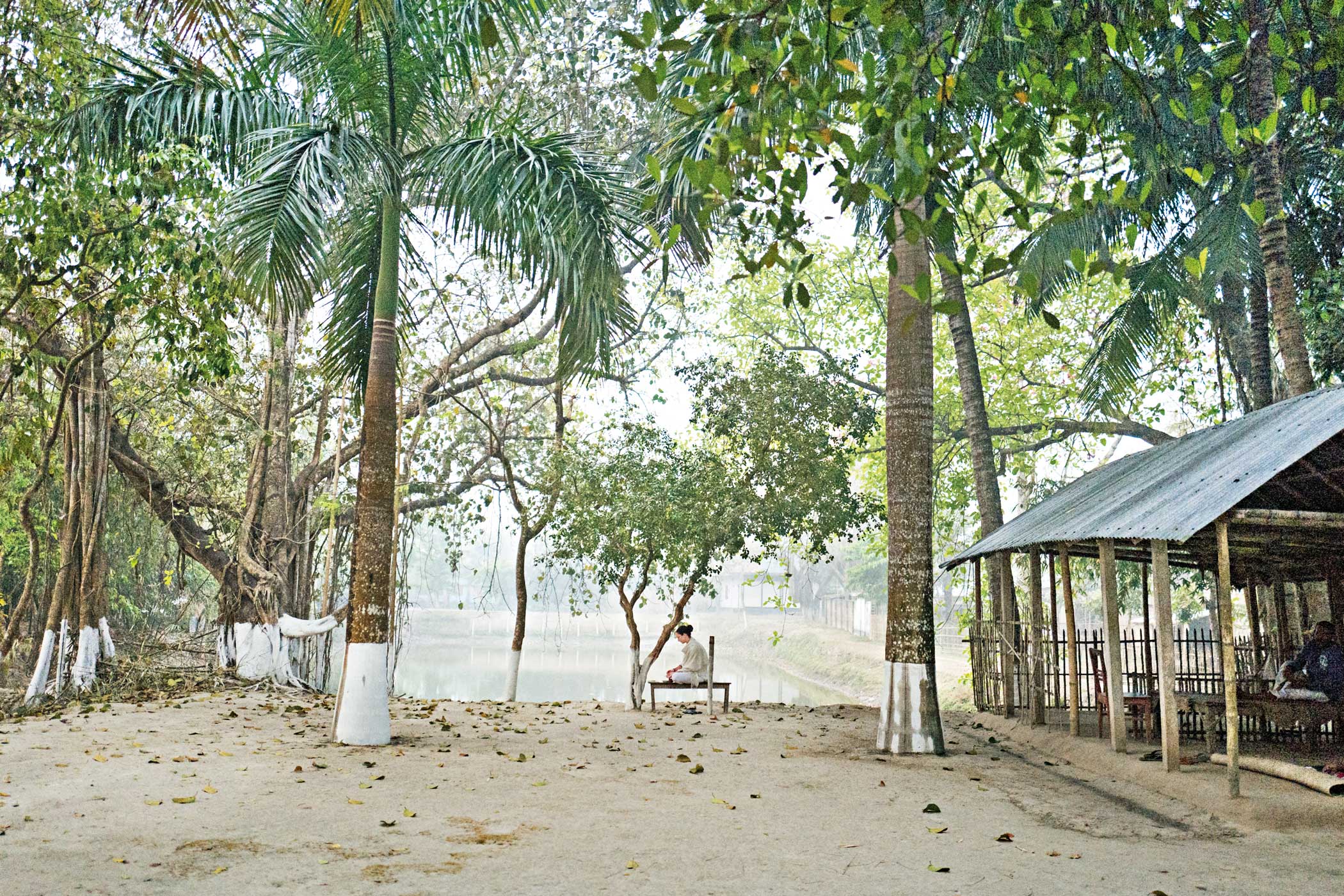 A novice’s sadhusongo