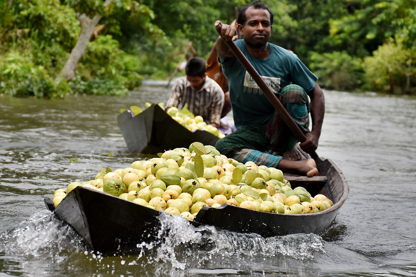 Your guide to the floating guava market of Bhimruli, Pirojpur