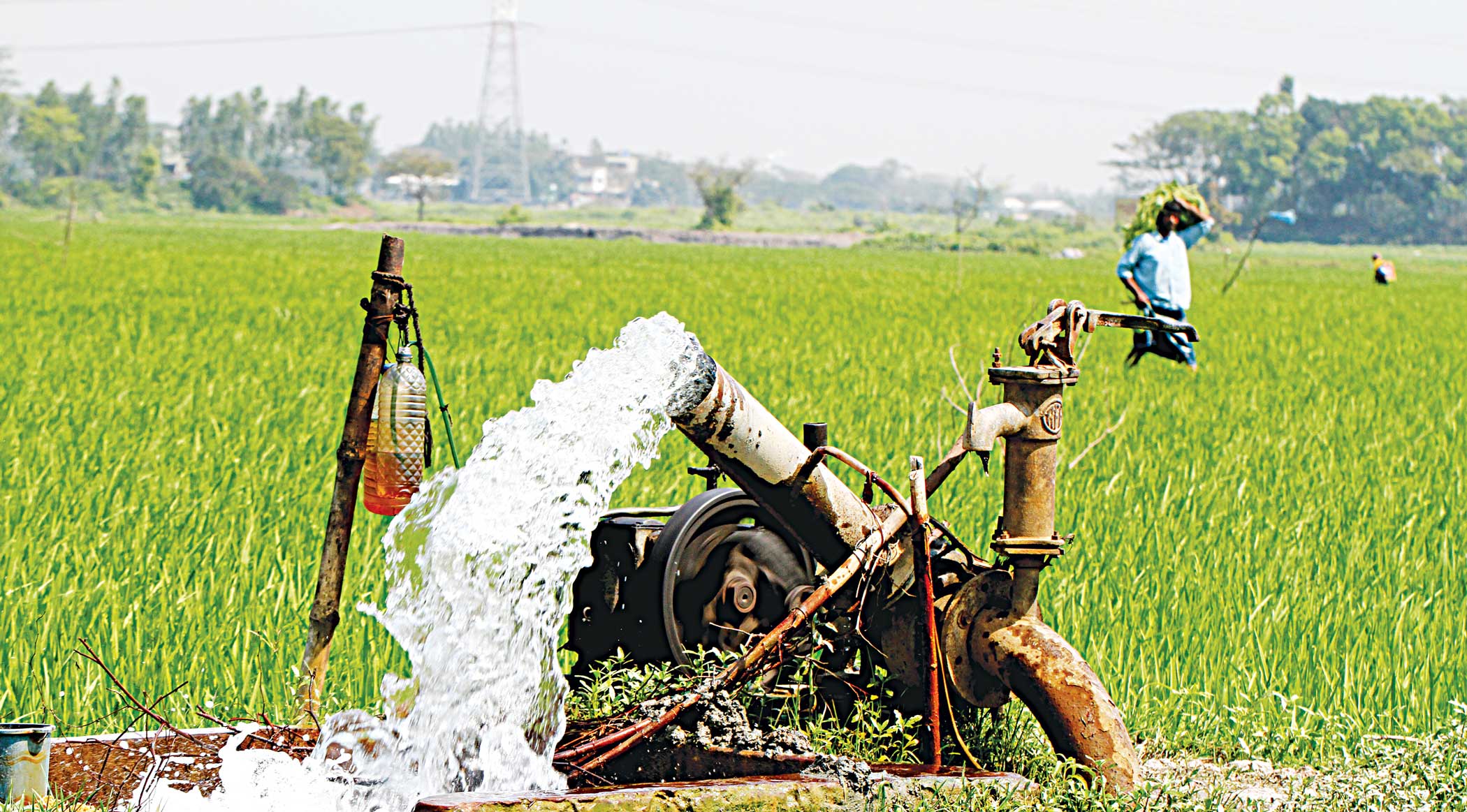 Farmers get a raw deal