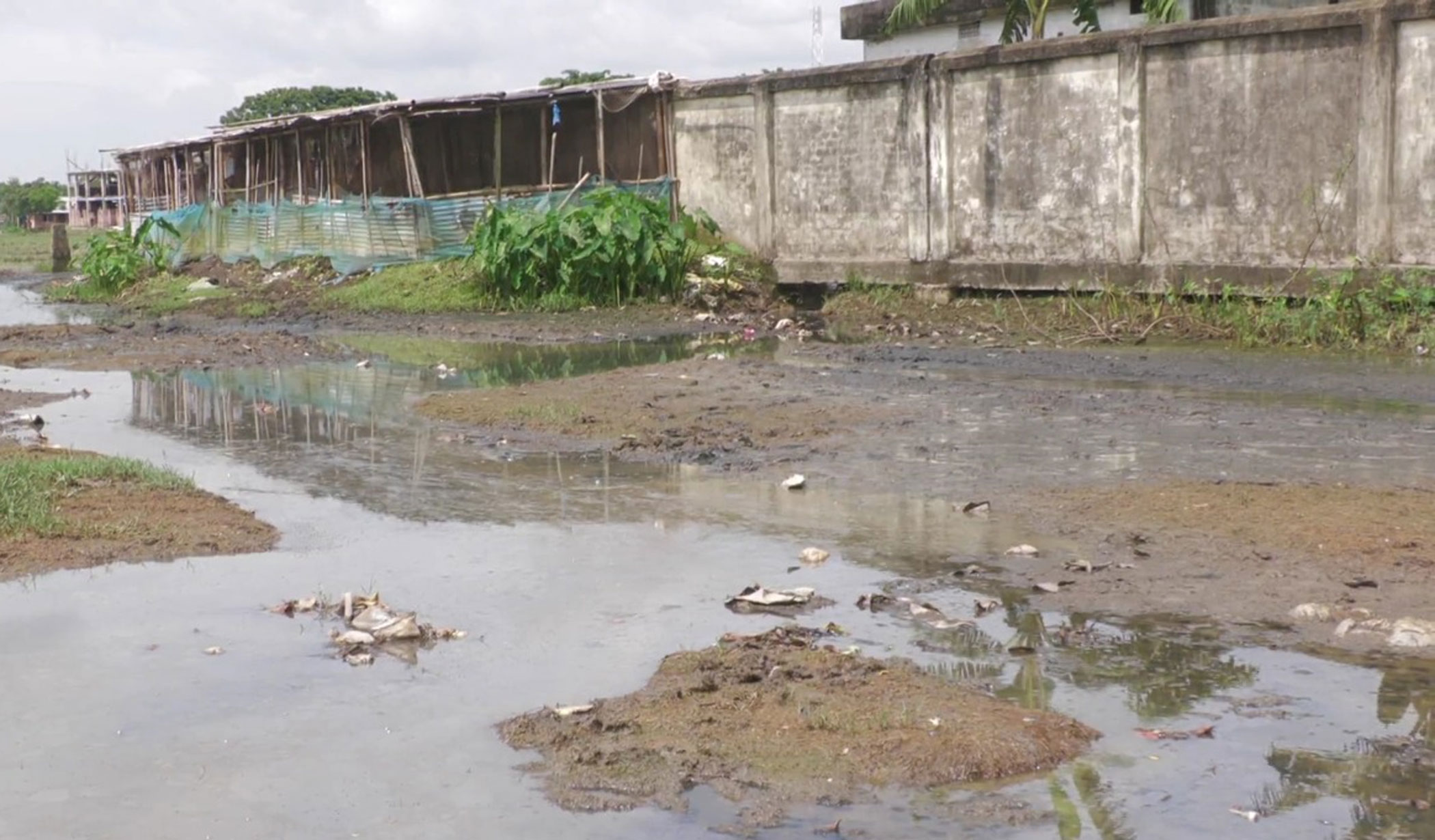 Khanjar haor: Disappearing fish, dying land