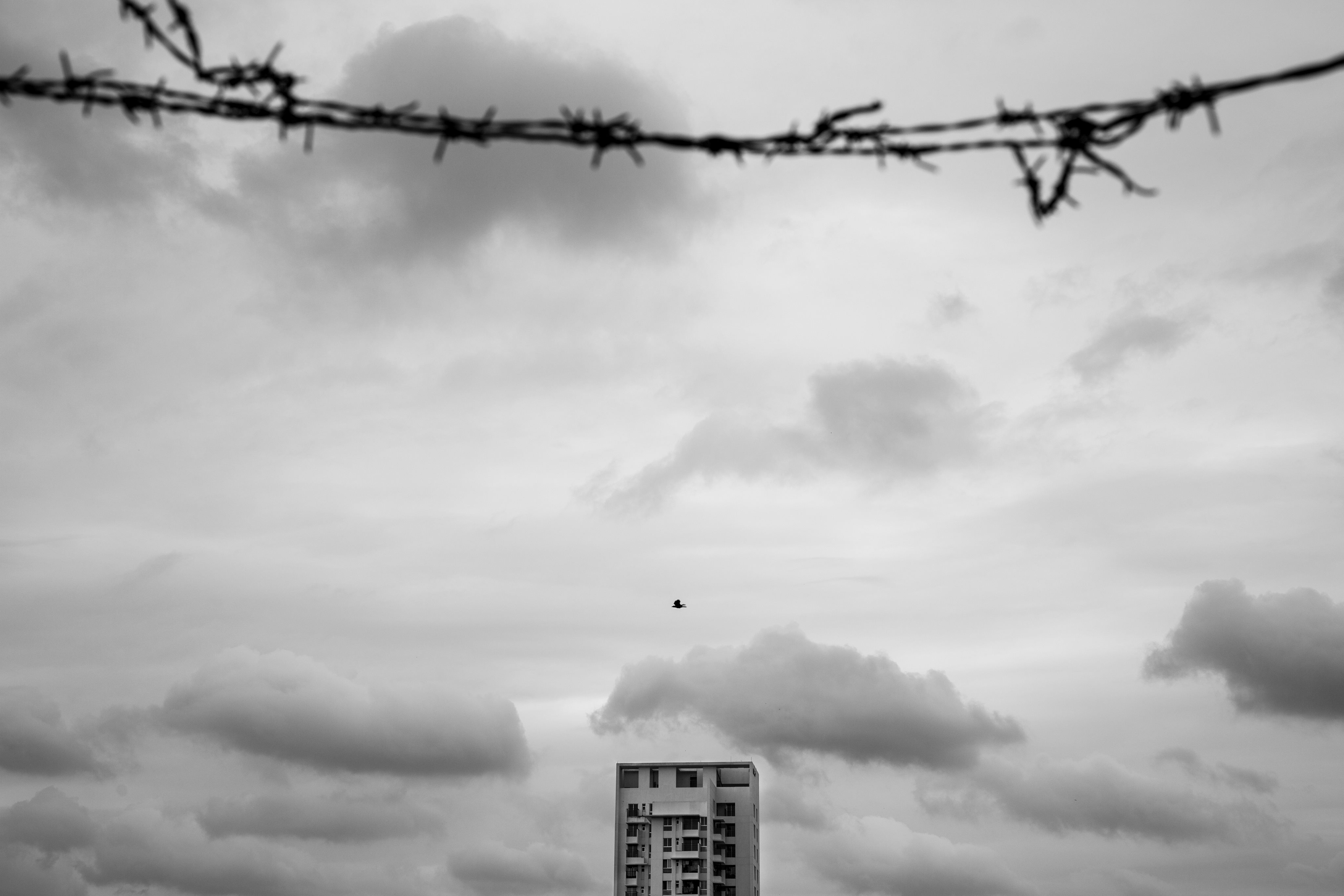 UN rights chief’s visit: Conflicting expectations and a hope for positive change