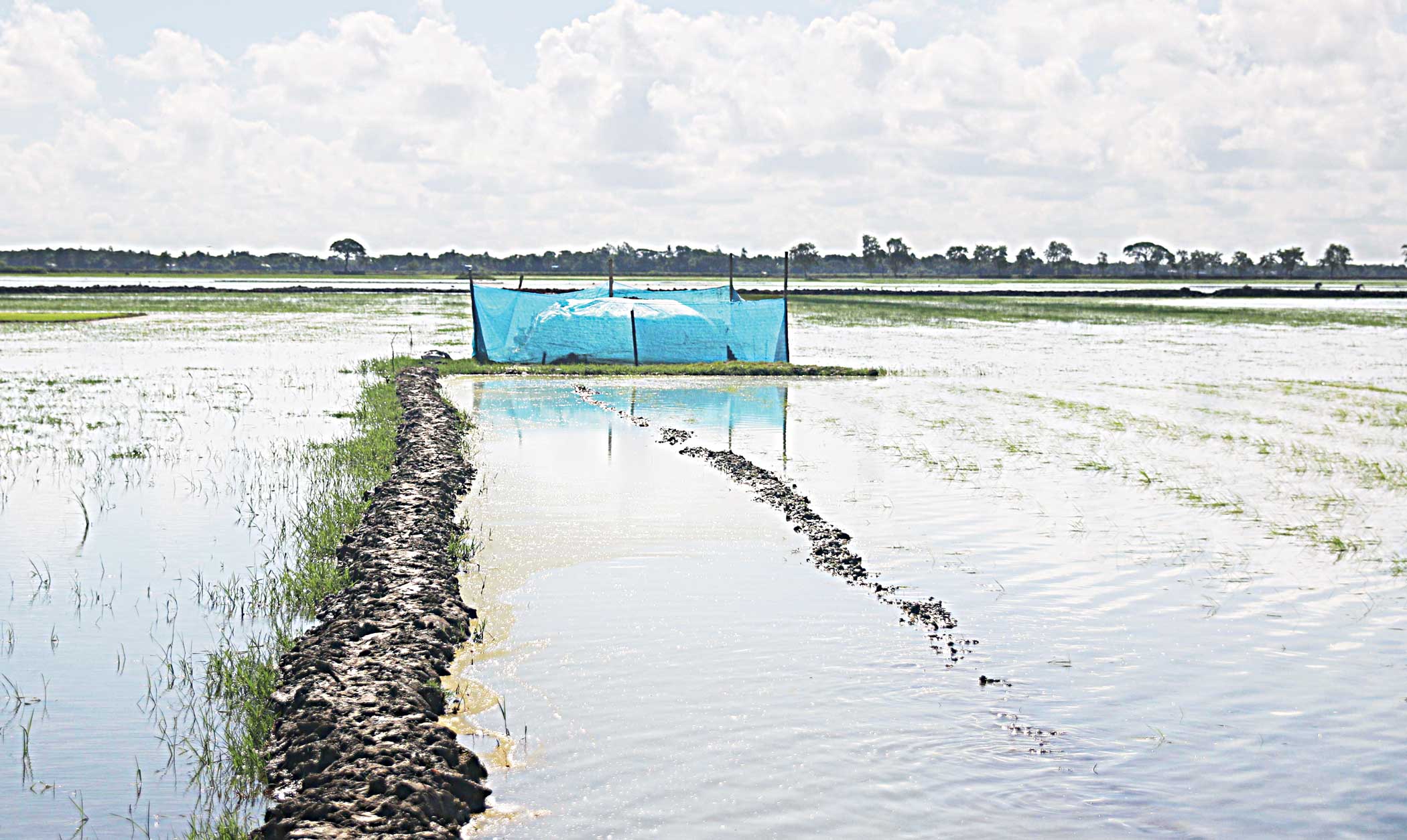 Attack on Munda community: ‘We daren’t get out of our homes’