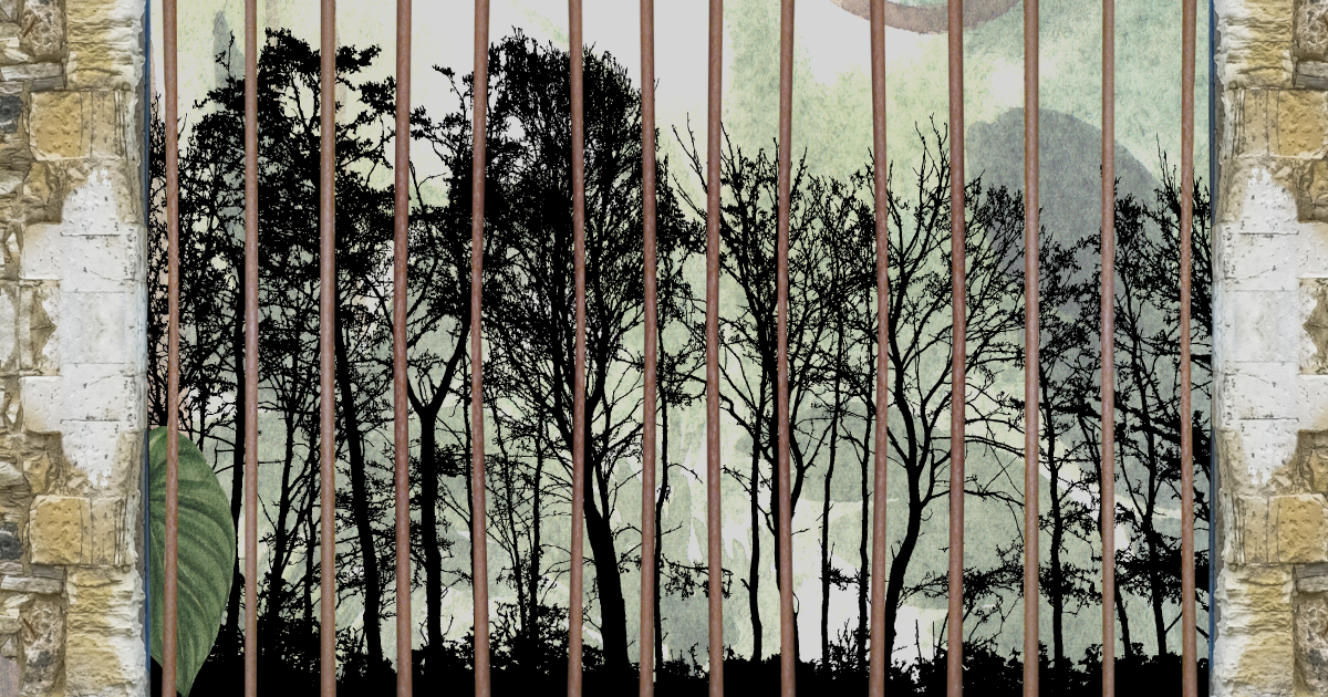 Who wants a piece of forest?