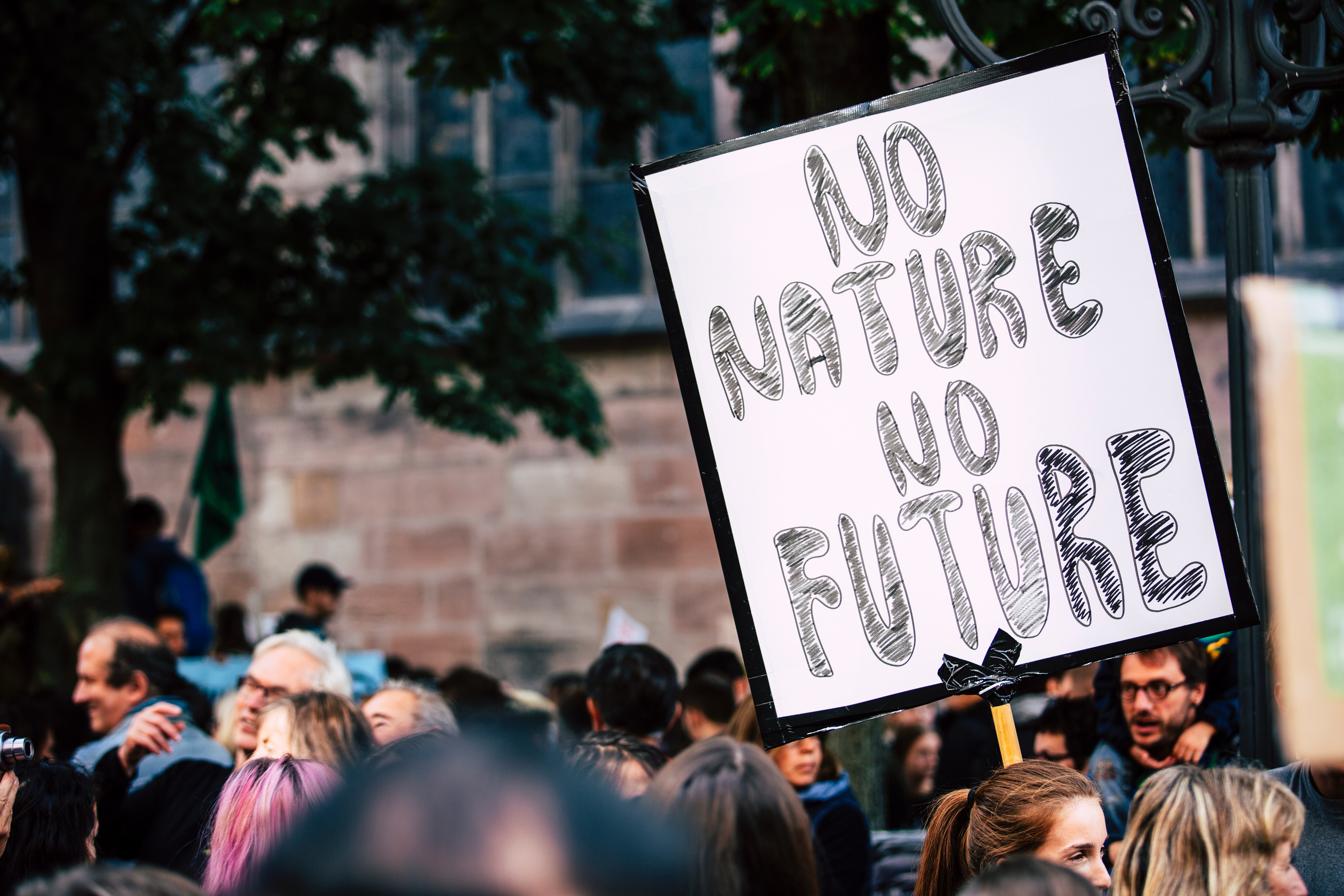 Why climate needs to be a part of higher education