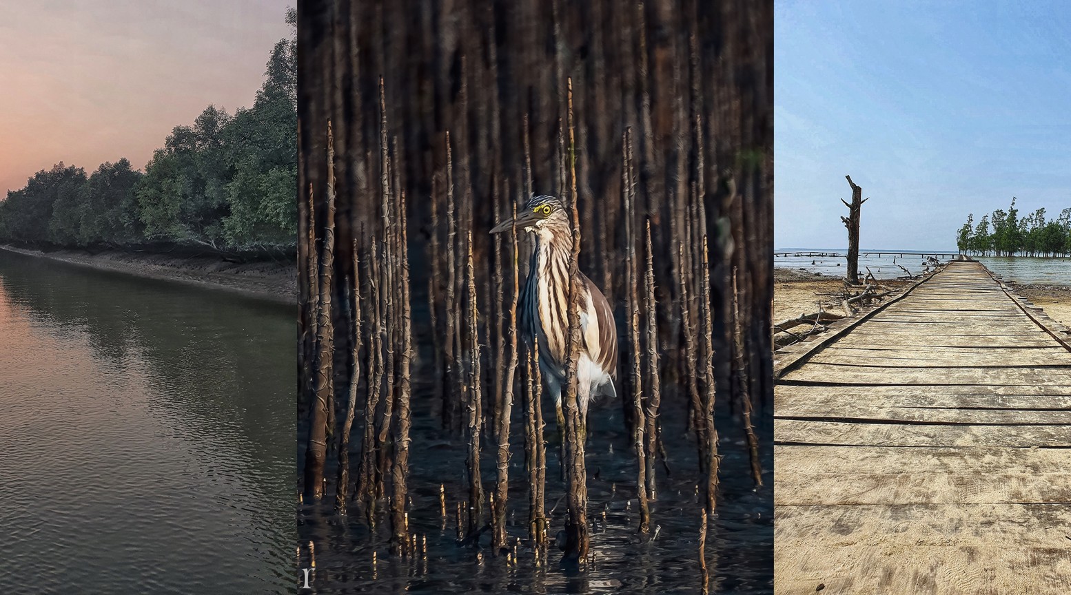 Your complete guide to visiting the Sundarbans