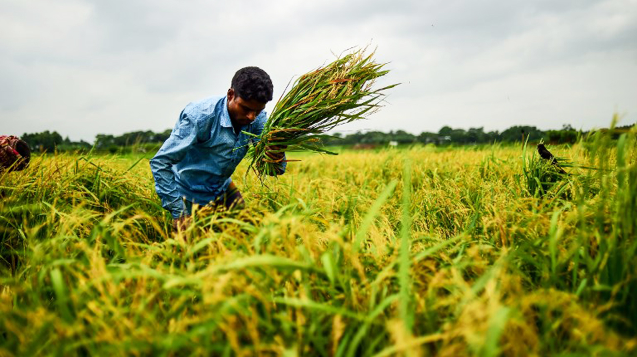 Is Bangladesh ready to face a global food crisis?