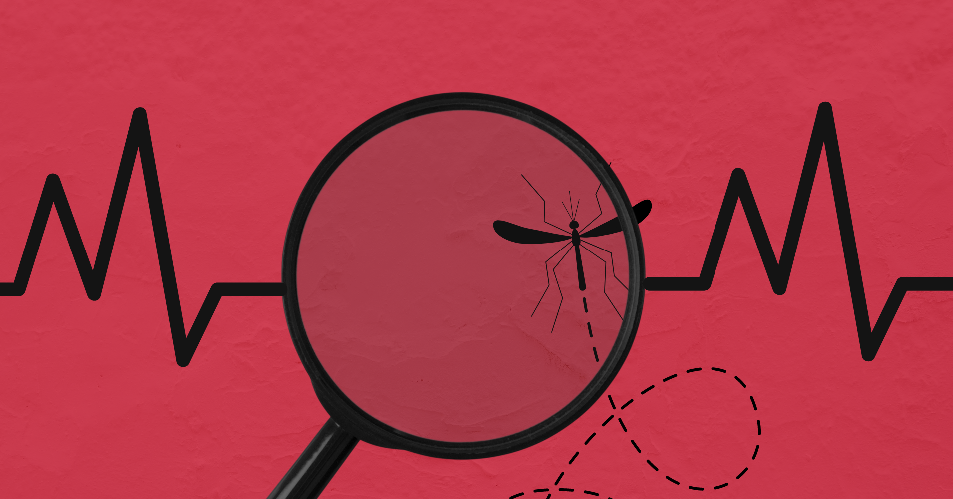 How to stay safe during dengue season 