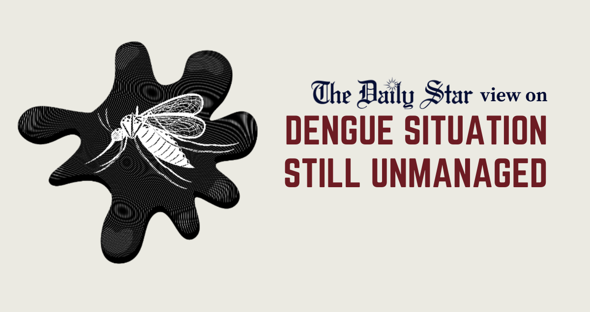 Why is dengue still around?