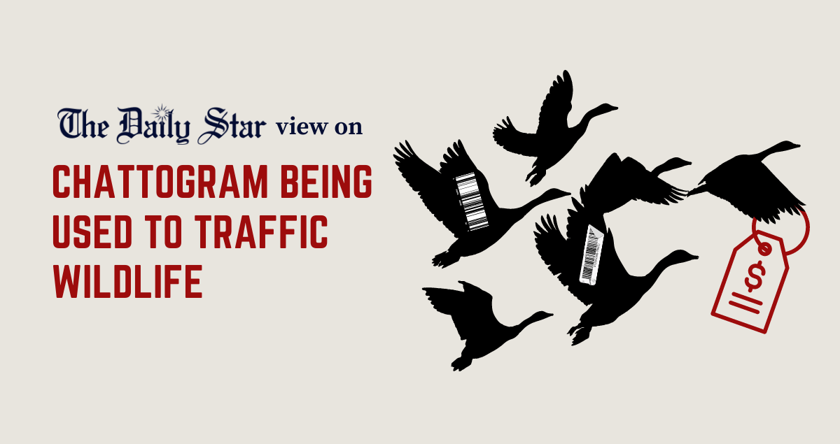 We must stop wildlife trafficking