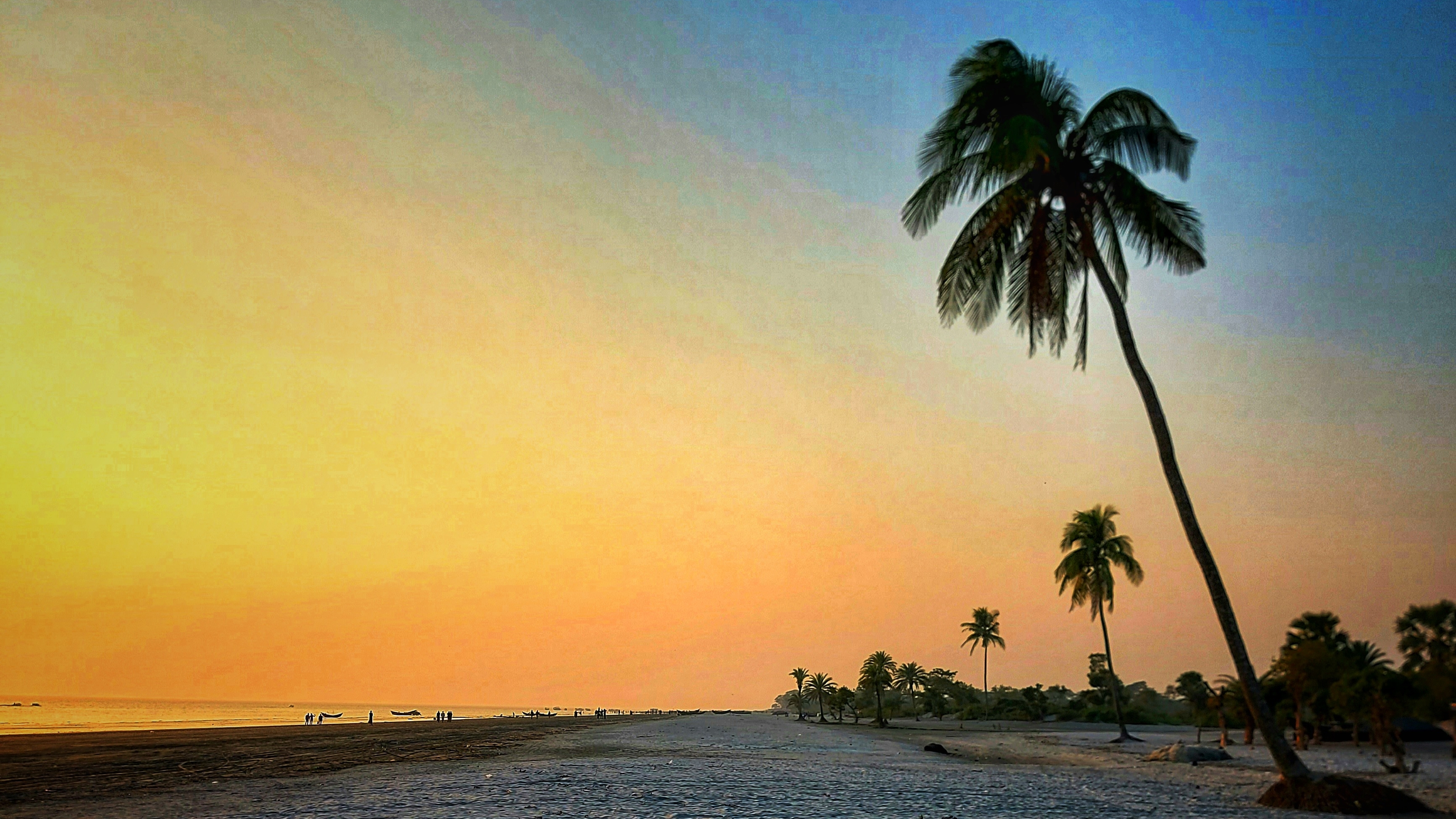 Top 5 resorts in Kuakata 