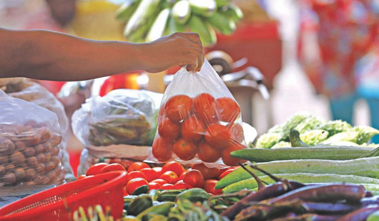 Tackle the plastic tide with proper waste management