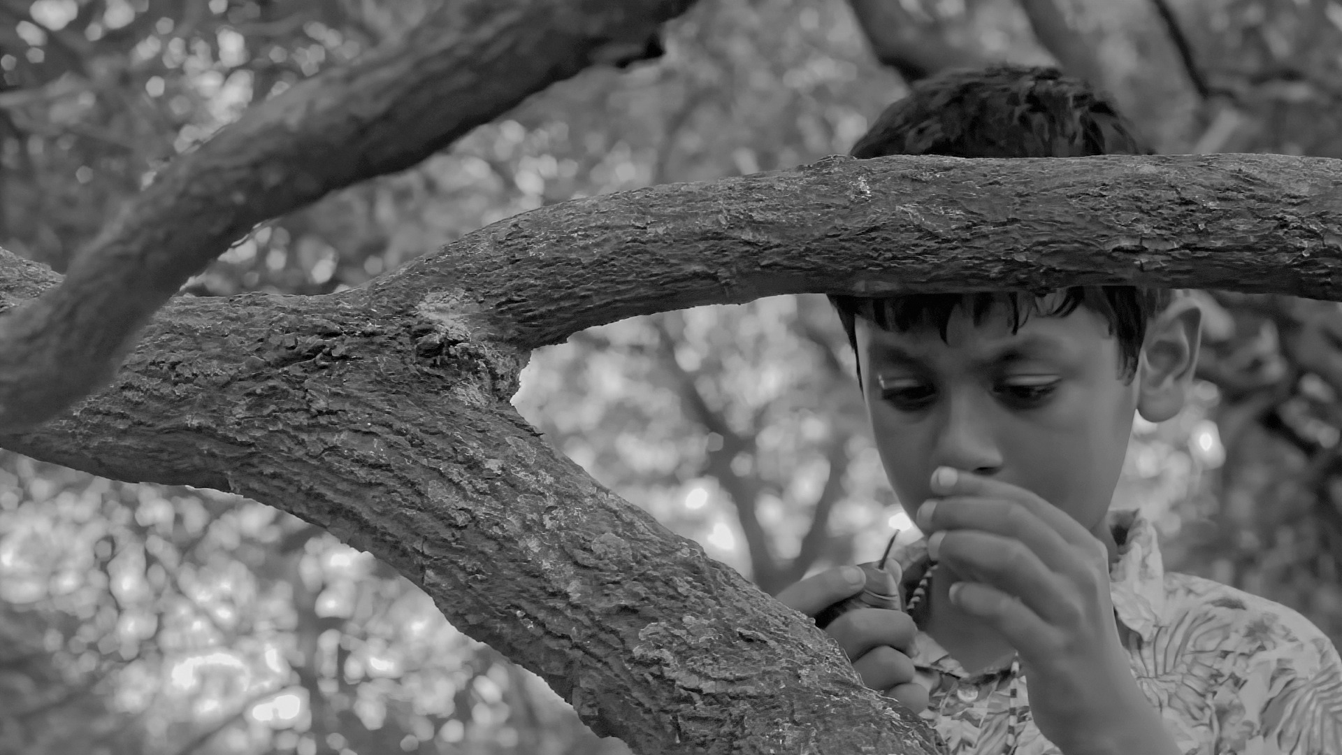 ‘Aam Kathaler Chhuti’ receives censor board clearance