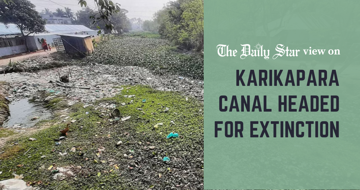 A canal here, a bird refuge there...