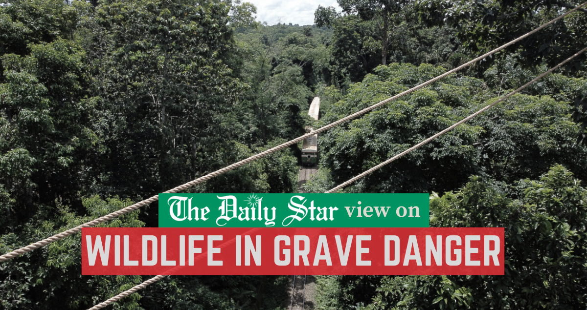 We must protect wildlife at any cost