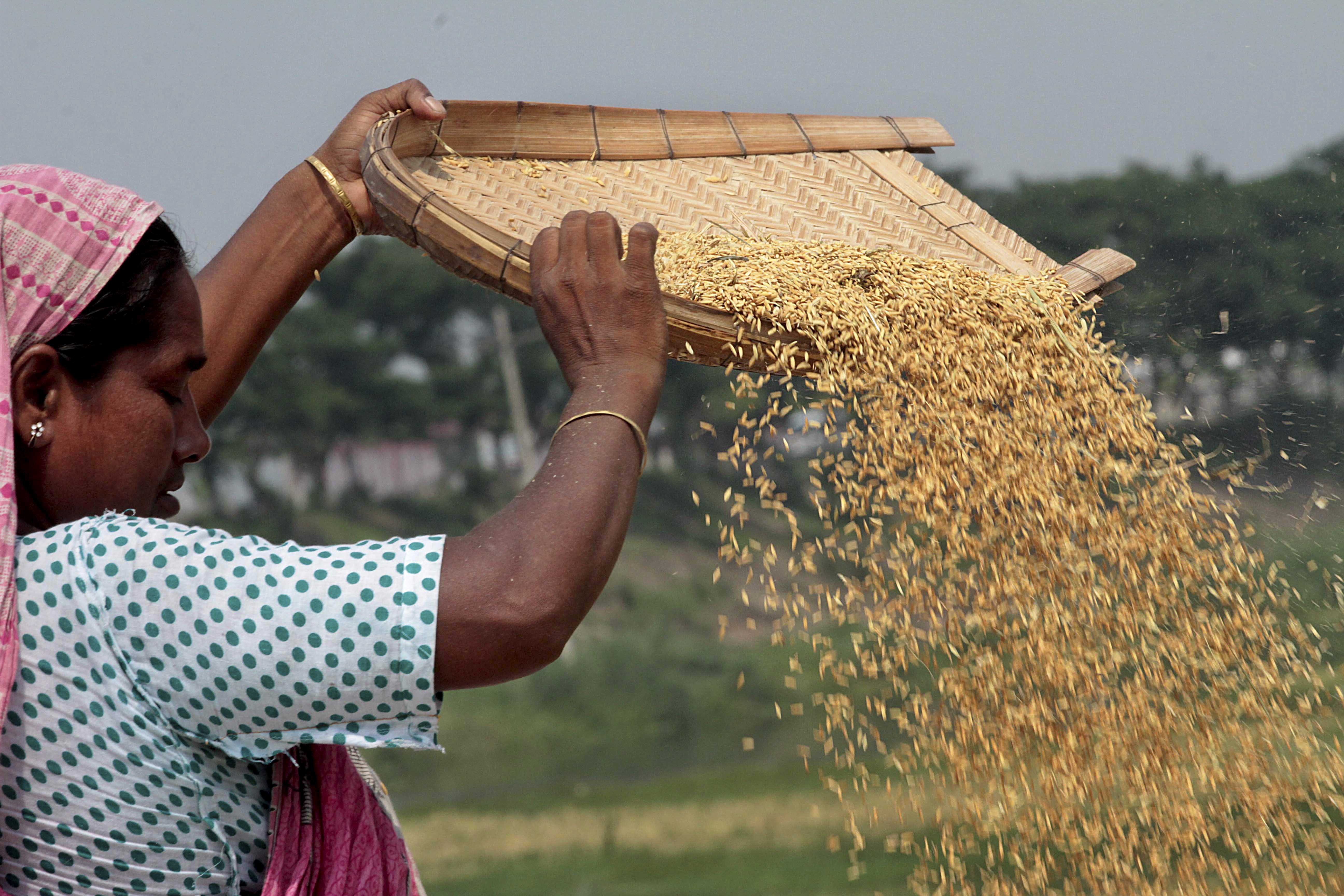 The illusion of food self-sufficiency