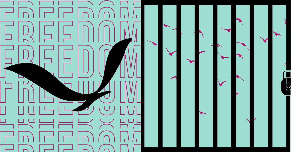 DSA and the quest for an obliged press