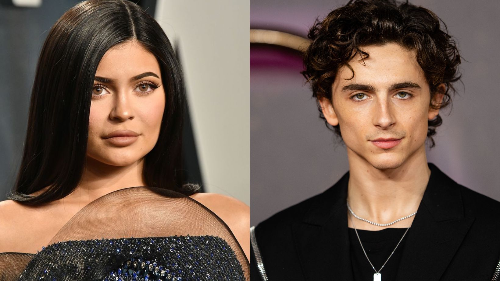 Kylie Jenner and Timothee Chalamet dating?