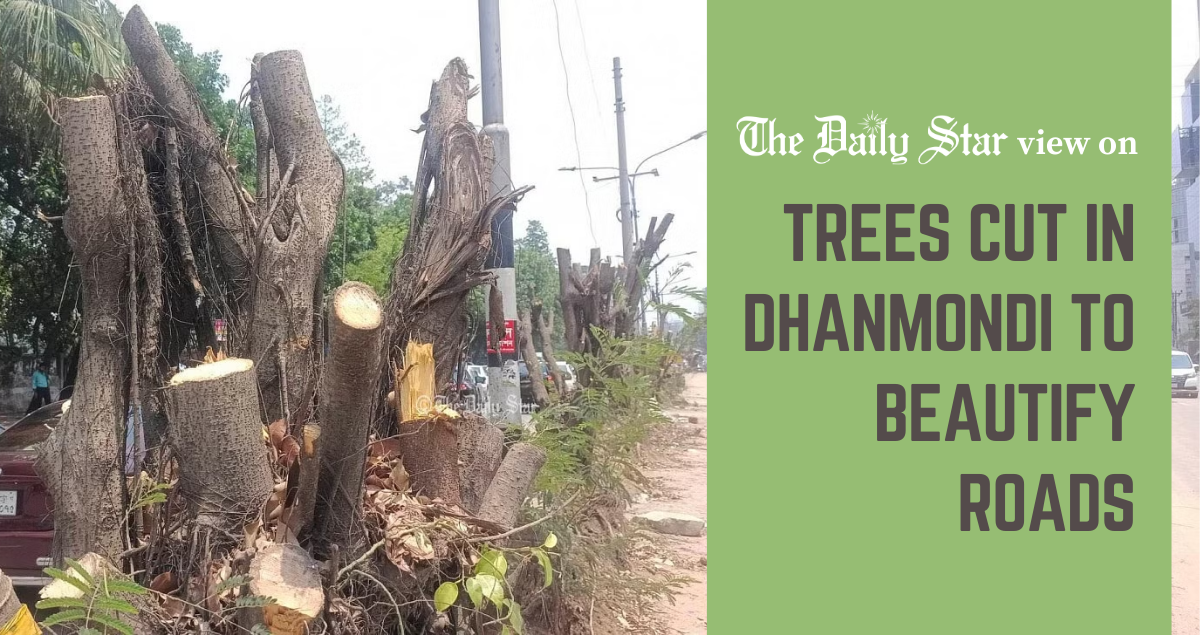 We must save our trees, not destroy them