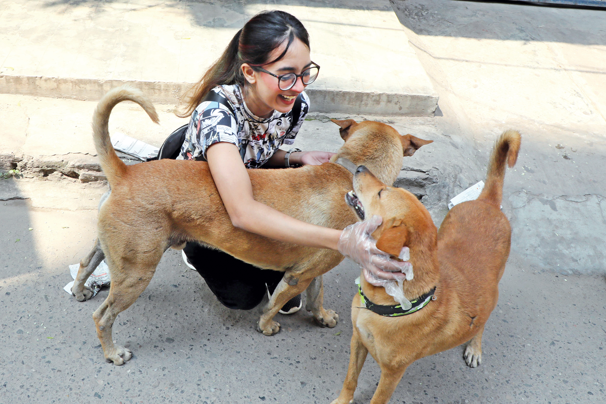 Feed Doggo Fridays: Standing by stray animals