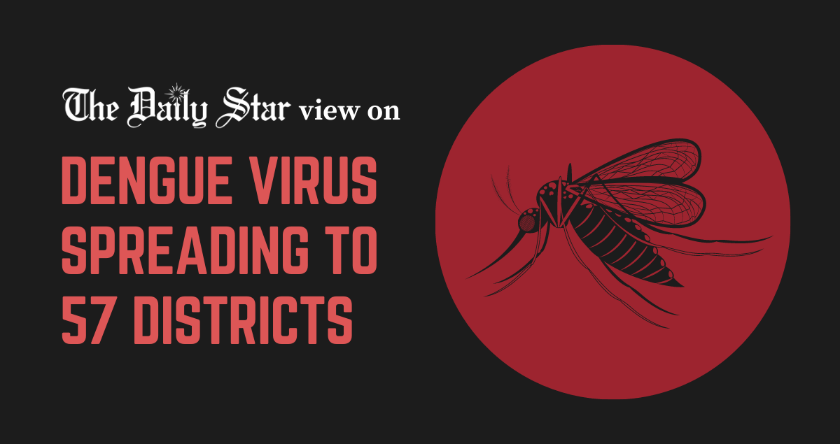 Can we contain the dengue epidemic?