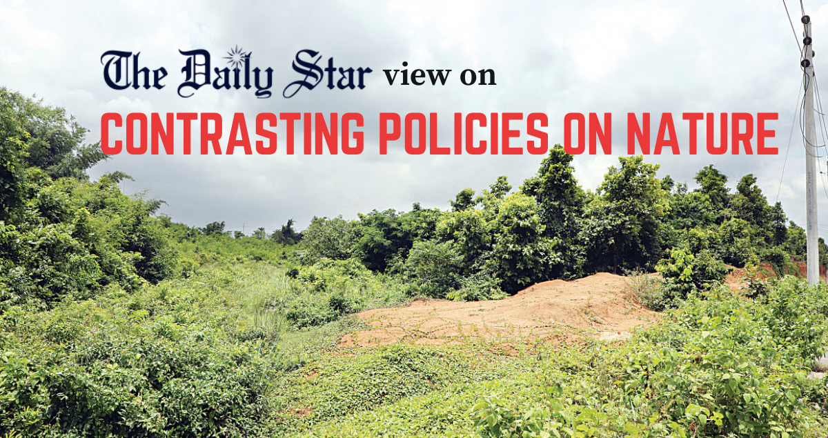 Re-greening Bangladesh will require more than token gestures