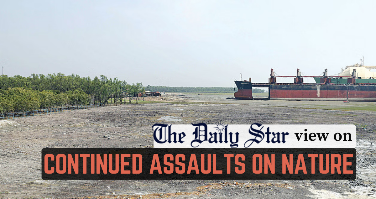 With every forest razed, a little bit of Bangladesh dies too